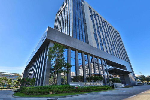 福建崛起數(shù)字造富新高地，24位億萬(wàn)富翁領(lǐng)航網(wǎng)絡(luò)技術(shù)服務(wù)浪潮